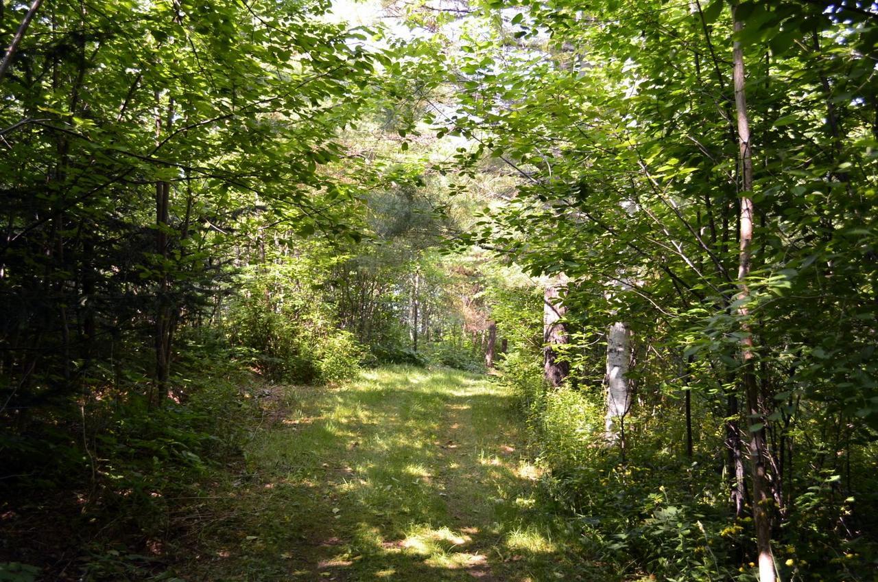 Still Point Lodge Deep Brook Eksteriør bilde