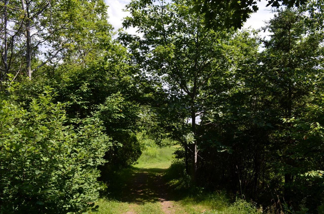 Still Point Lodge Deep Brook Eksteriør bilde